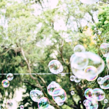 bubbles in the trees